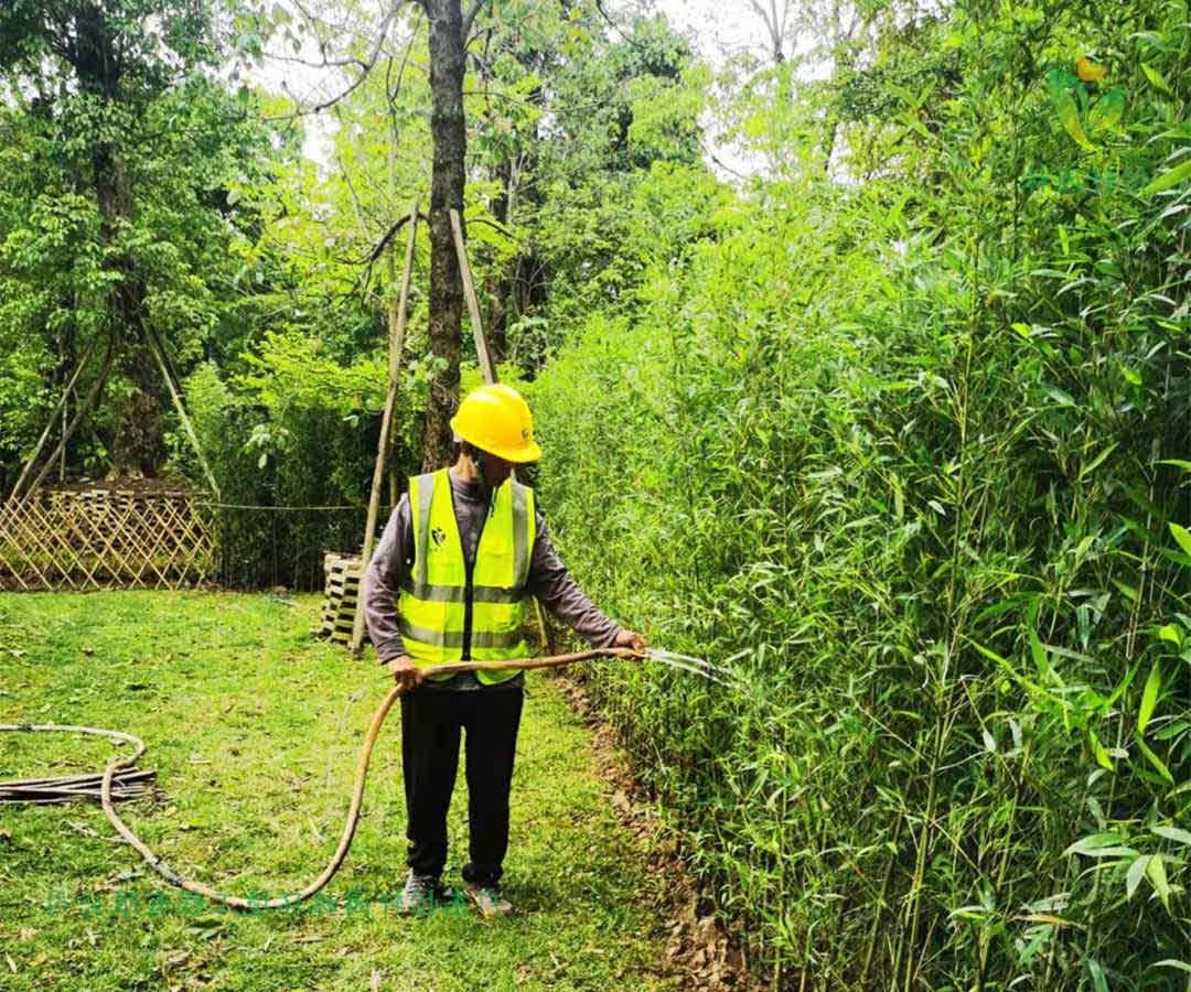 番禺露营基地欢迎访问十大电子网址种植完成后浇水